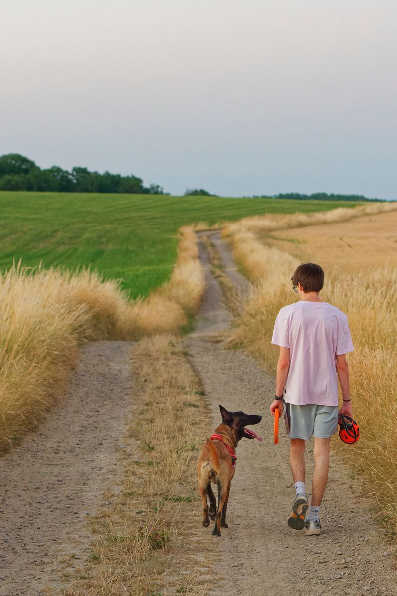 Leash First, Freedom Later for Dogs New to Stock
