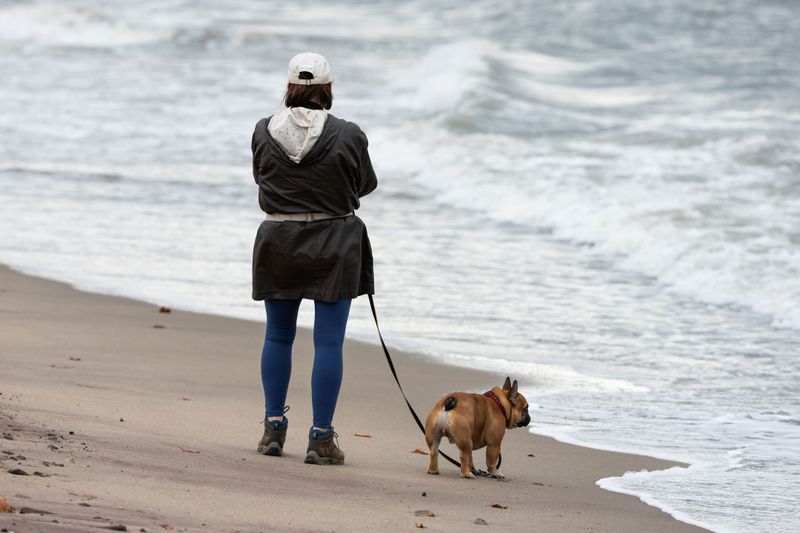 Choose The Best Time To Visit With Your Dog