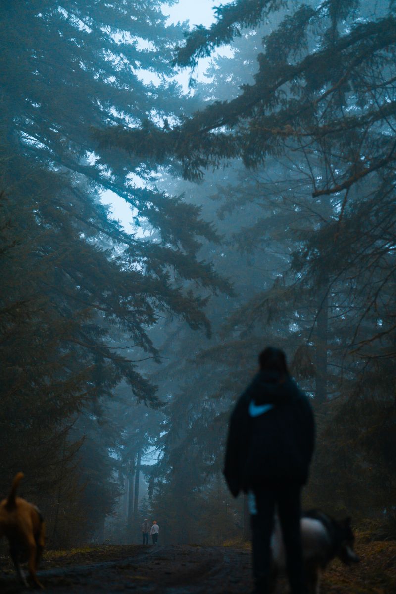 Smoke Can Turn A Normal Walk Into A Riskier Outing
