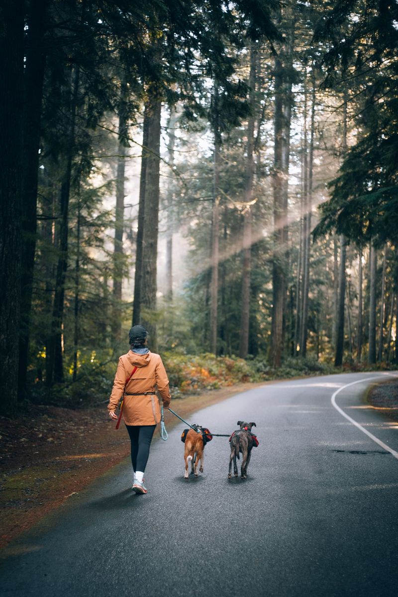 Shorter Walks Replace Long Loops