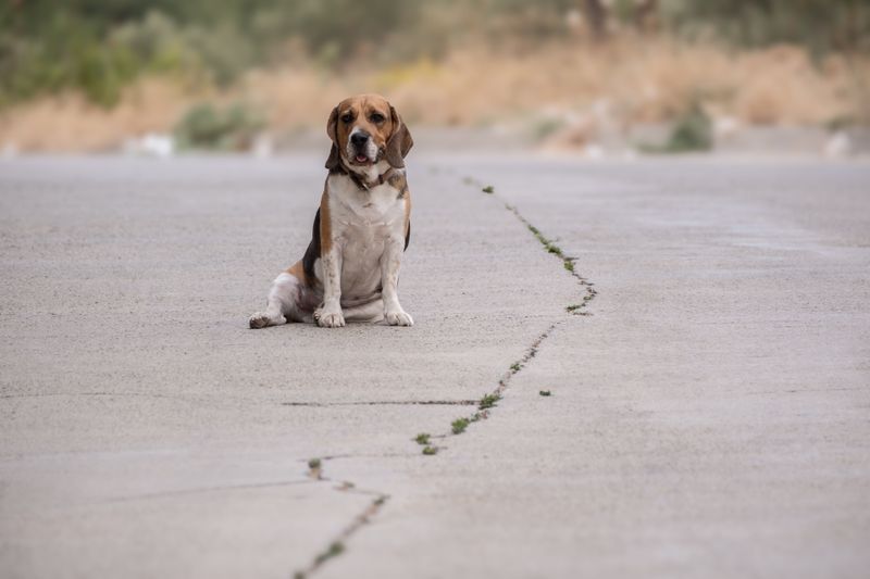 A Violation Does Not Guarantee Liability