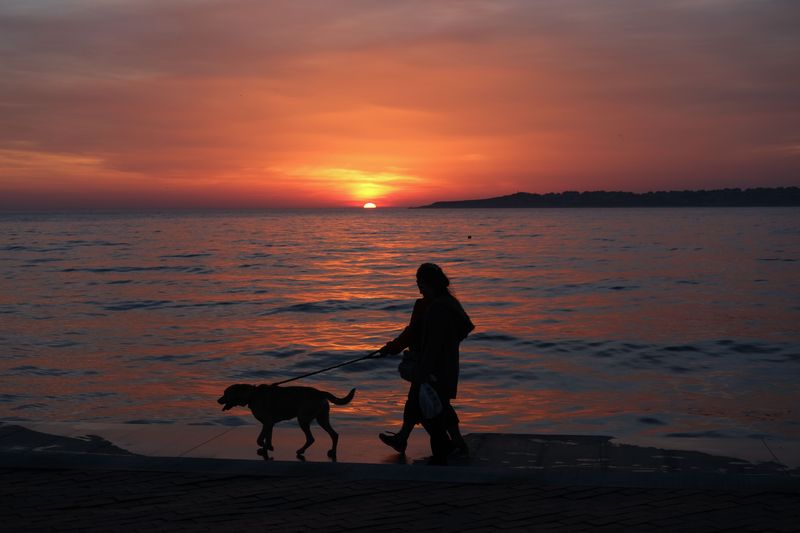 Rethink Sunrise and Sunset Shoreline Strolls