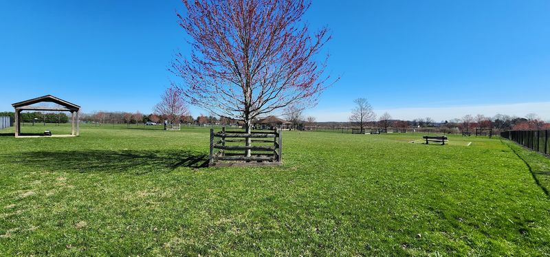 Doylestown Dog Park at Turk Park, Warrington