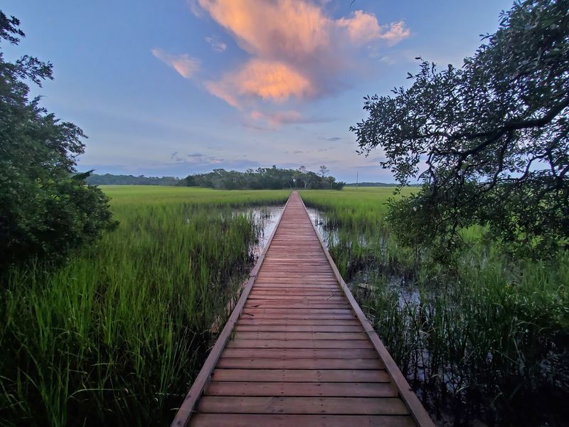 Edisto Beach State Park