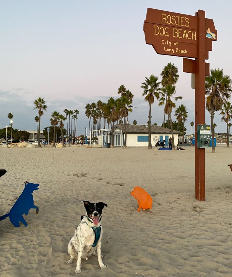 Rosie's Dog Beach, Long Beach