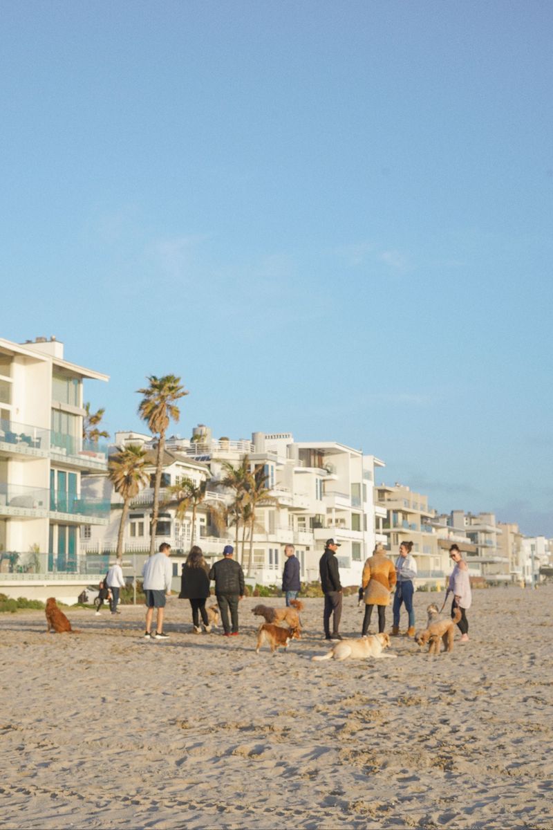 Rosie's Dog Beach, Long Beach