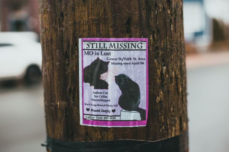 A Microchip Only Helps If the Information Is Current