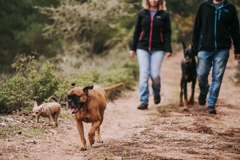 Walk The Middle Of The Trail
