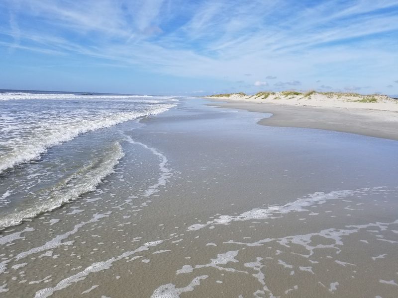 Bird Island Reserve