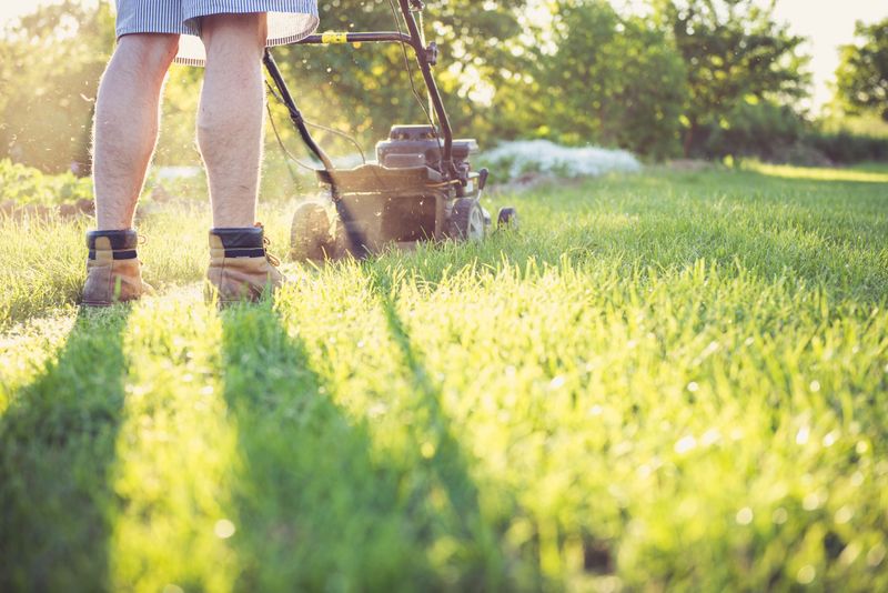Keep Grass and Weeds Trimmed at Home