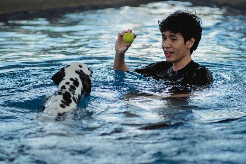 Never Force or Throw Your Dog into the Water