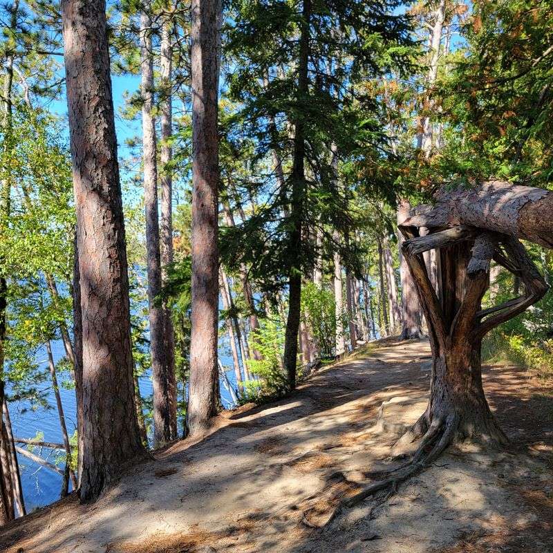 Scenic State Park near Bigfork