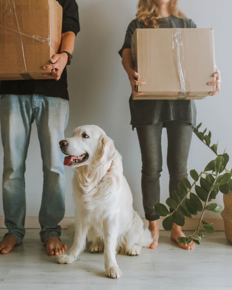 Moving Means Updating Your Records