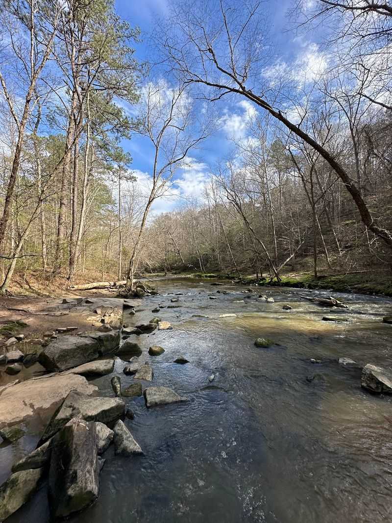 William B. Umstead State Park Works For A Close-To-City Nature Break