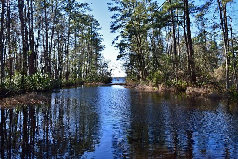 Singletary Lake State Park Is A Simple Choice For A Low-Key Weekend