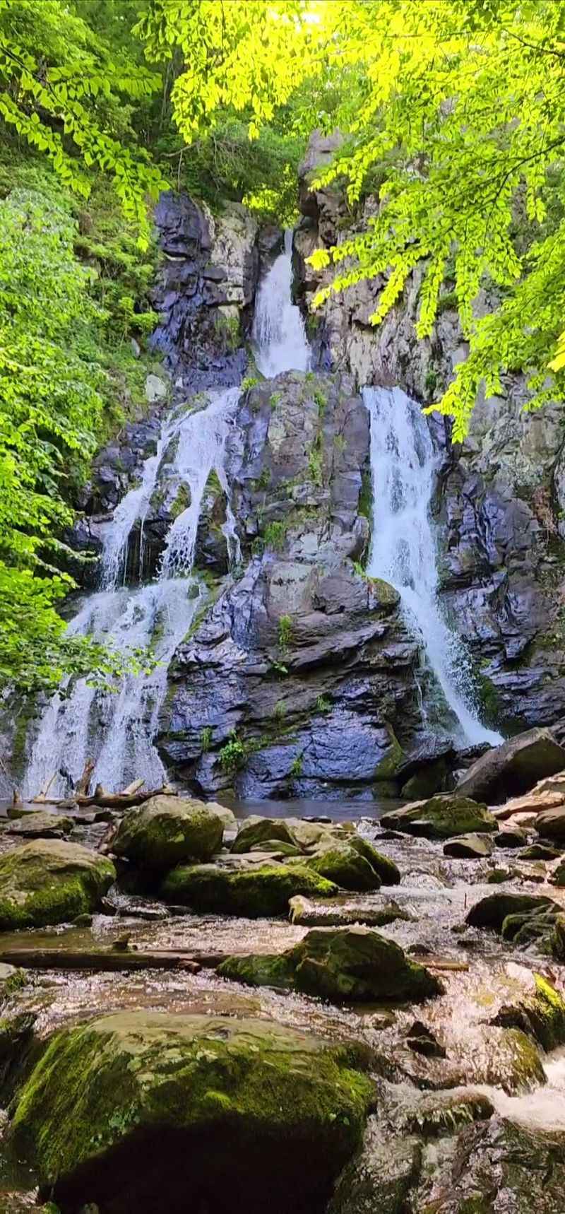 South River Falls in Shenandoah National Park