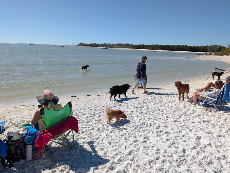 Bonita Beach Dog Park, Bonita Springs