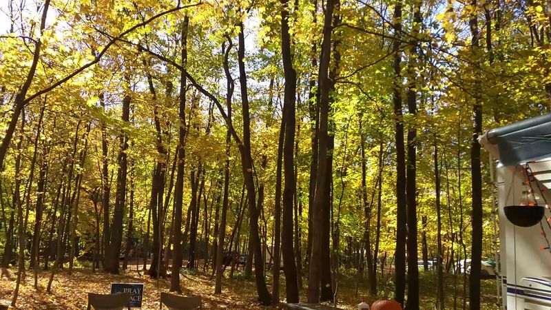 Shabbona Lake State Recreation Area Works for Camping Dogs