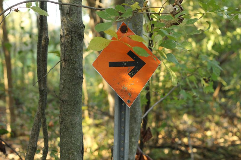 Stay On Marked Trails