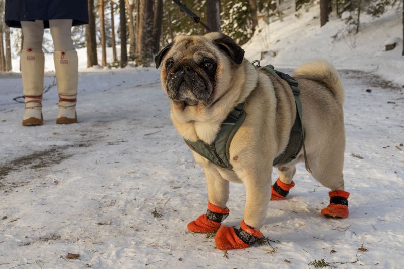 Prepare For A Cold-Weather Emergency