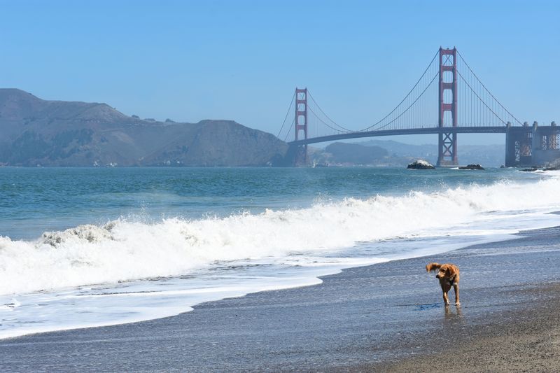 Check Local Beach Rules and Water Conditions Before You Go