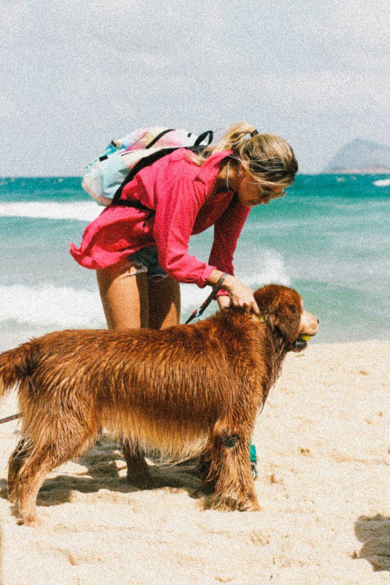 Rinse and Examine the Dog After Swimming