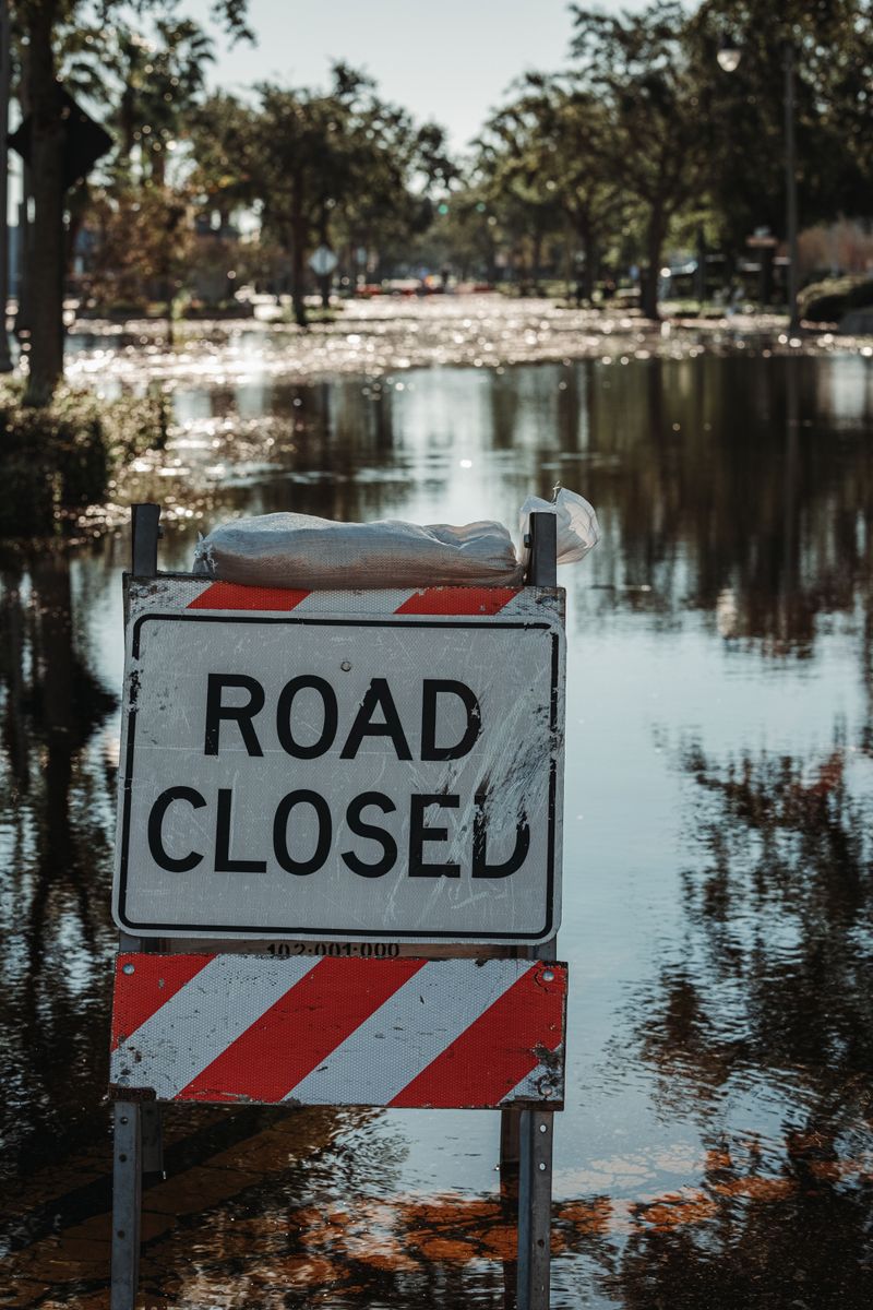Floodwater Can Hide Serious Dangers For Dogs