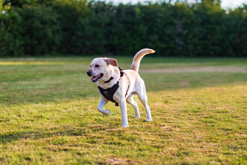 Build Up Summer Exercise Gradually and Thoughtfully