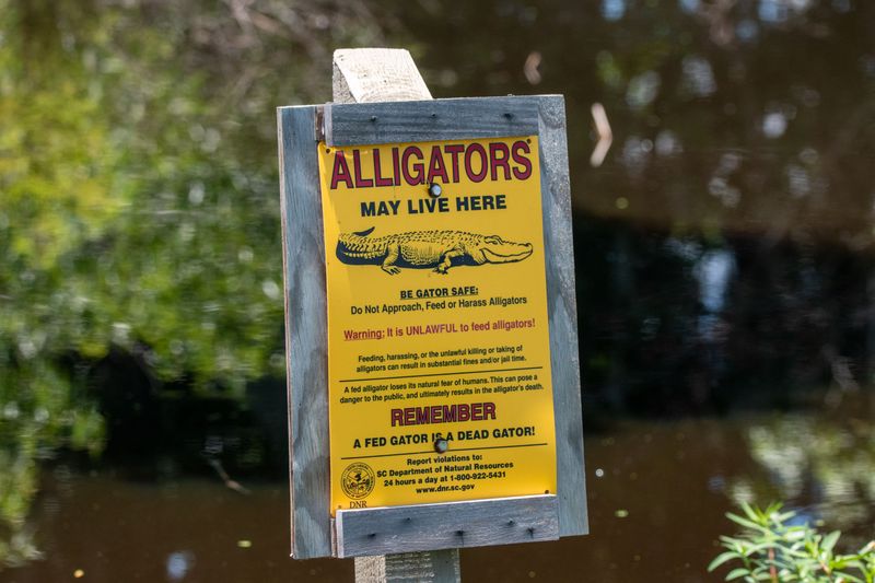 Pay Attention to Wildlife Warning Signs