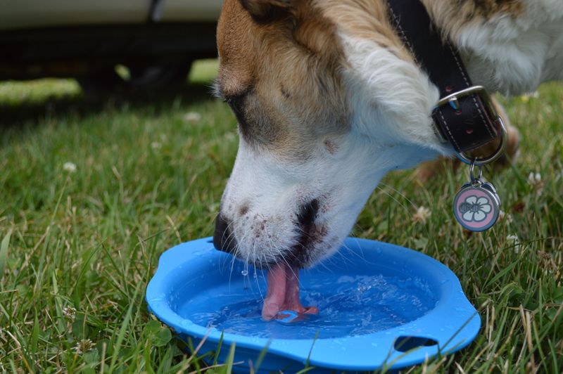 Bring More Water Than You Expect To Need