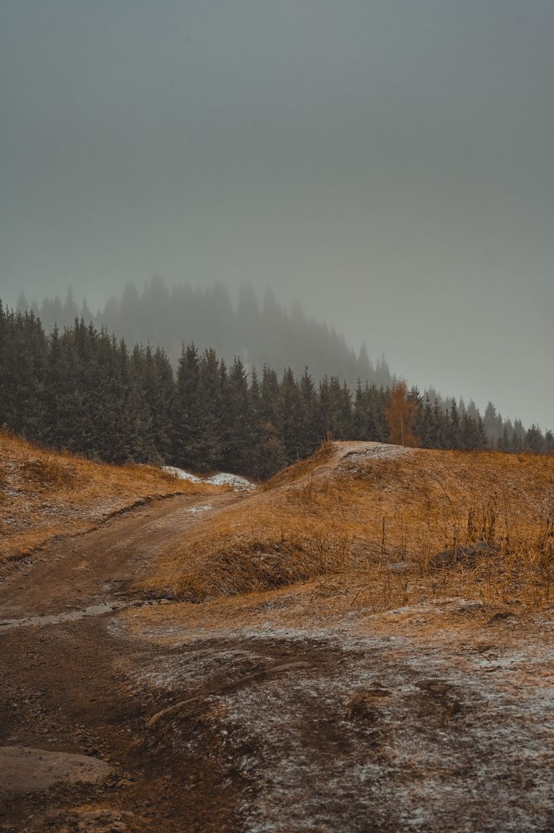 Avoid Areas Where Smoke Looks Or Smells Strongest