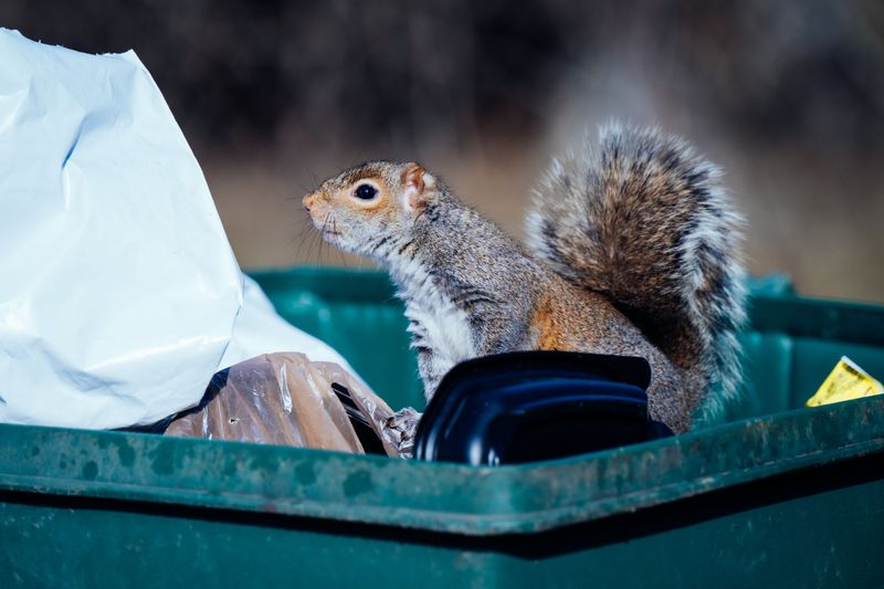Secure Potential Food Sources