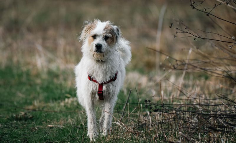 Consider Protective Gear for High-Risk Walks