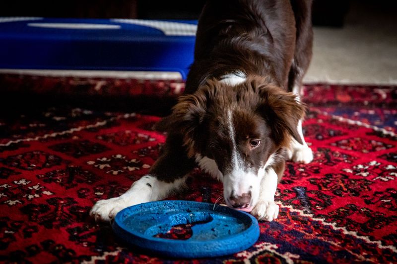 Indoor Games Can Replace Outdoor Exercise