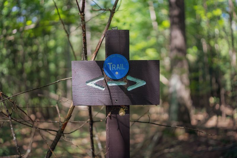 Make Tick Checks Part Of Every Connecticut Hike
