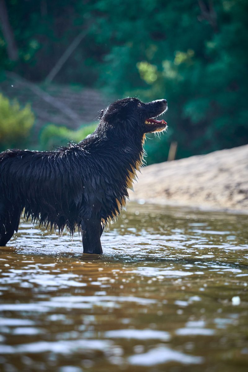 Make Water Adventures Safer