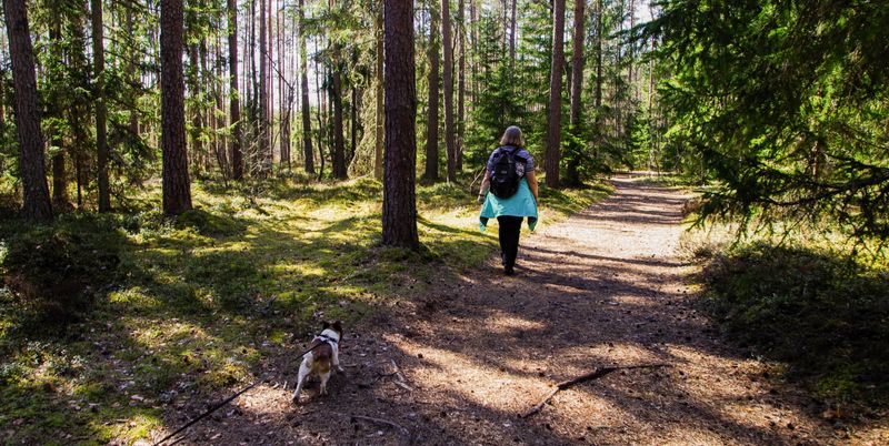 Check For Ticks After Forest Hikes