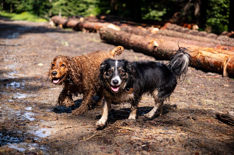 Prepare For Mud, Water, And Messy Trails