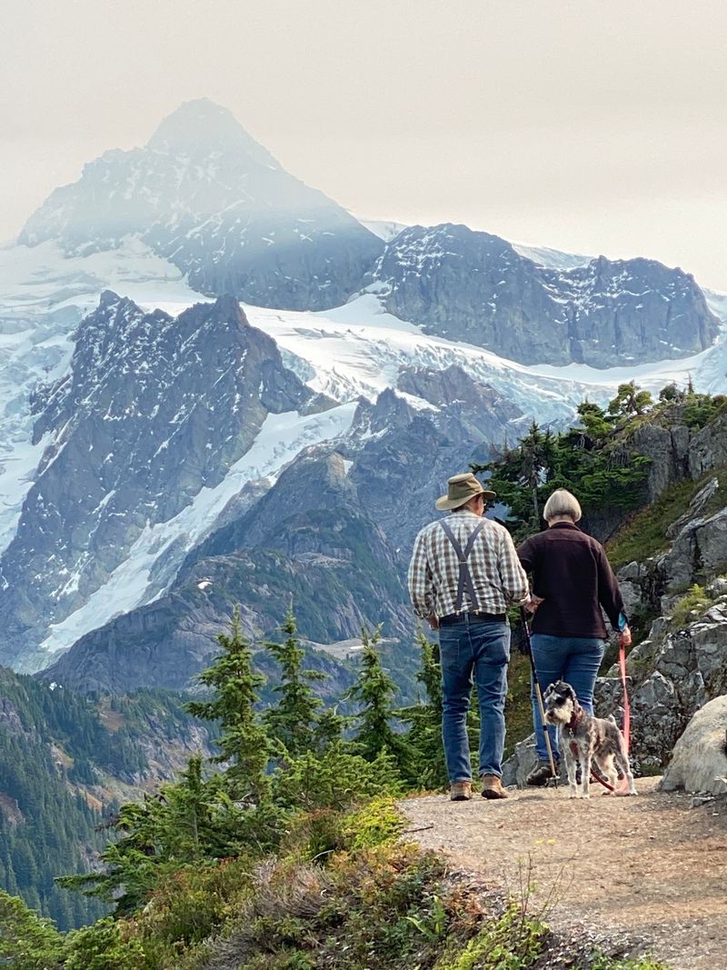 Avoid Letting Dogs Roam Off-Leash
