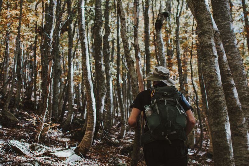 Avoid Hiking With Food In Hand