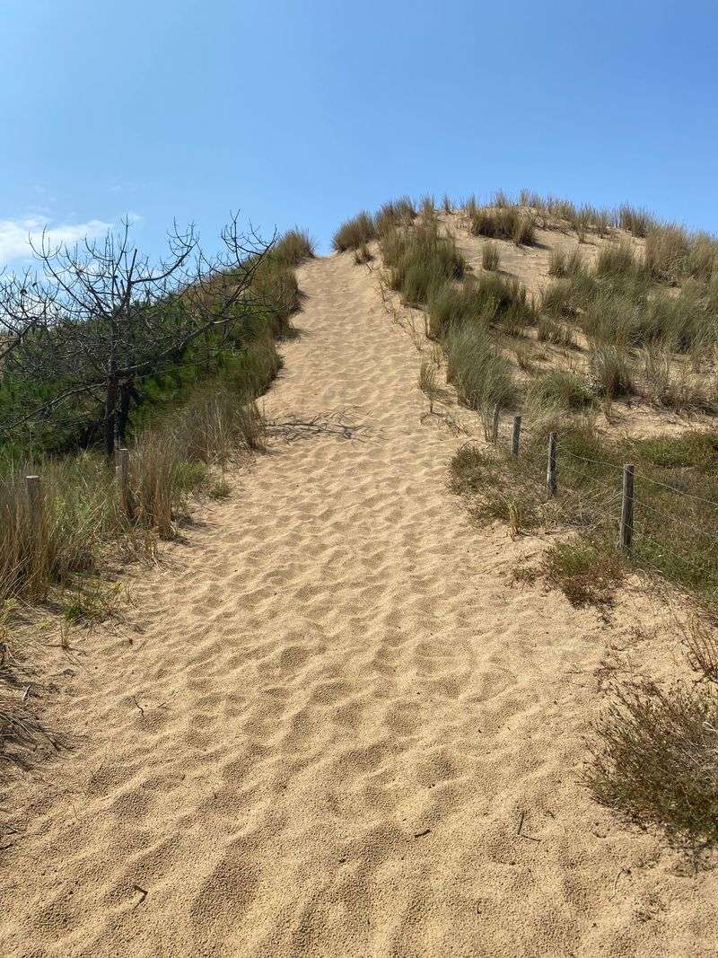 Stay On Marked Trails