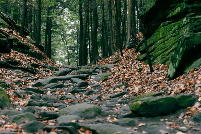 Prepare For Rocky Terrain