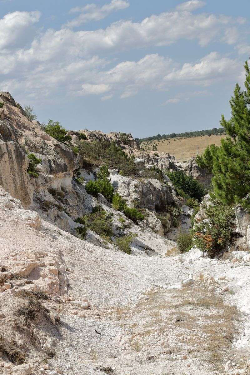 Watch Rocky Areas And Fallen Logs