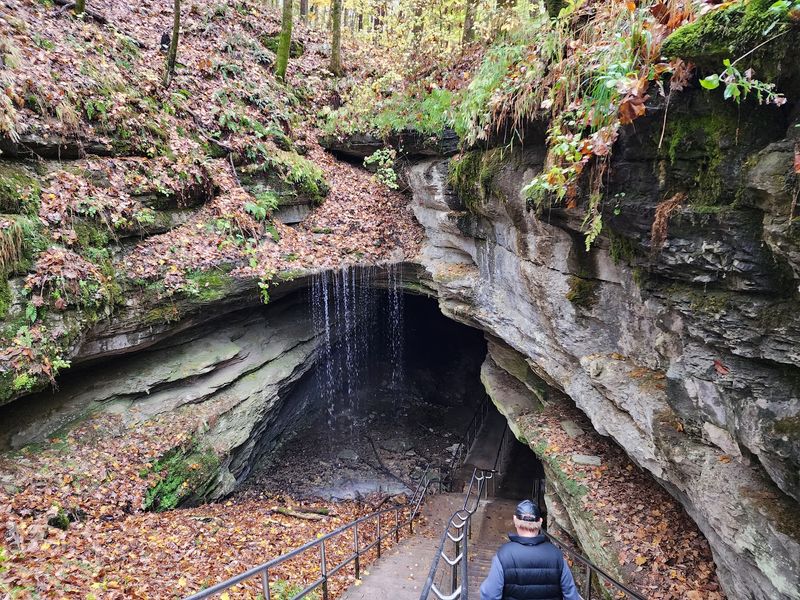 The Cave Itself Is Off-Limits To Pets