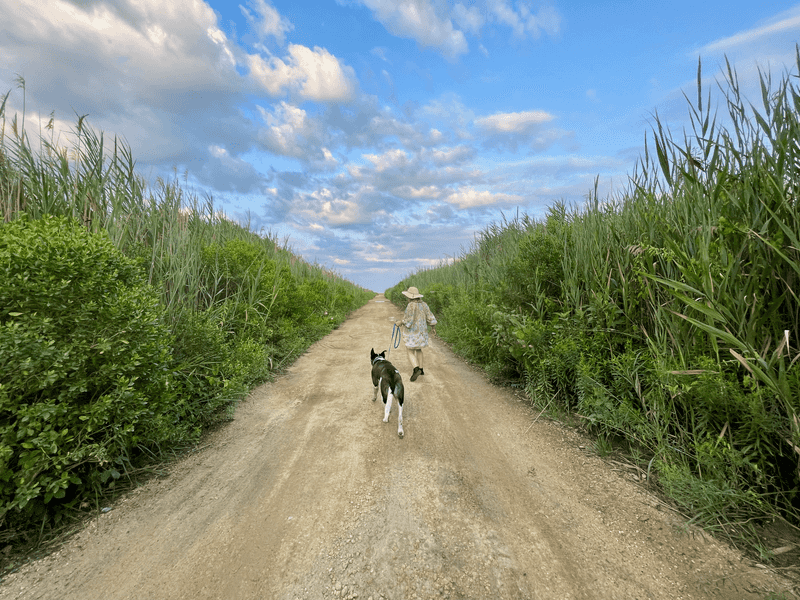 Fill The Days With Trails And Long Walks