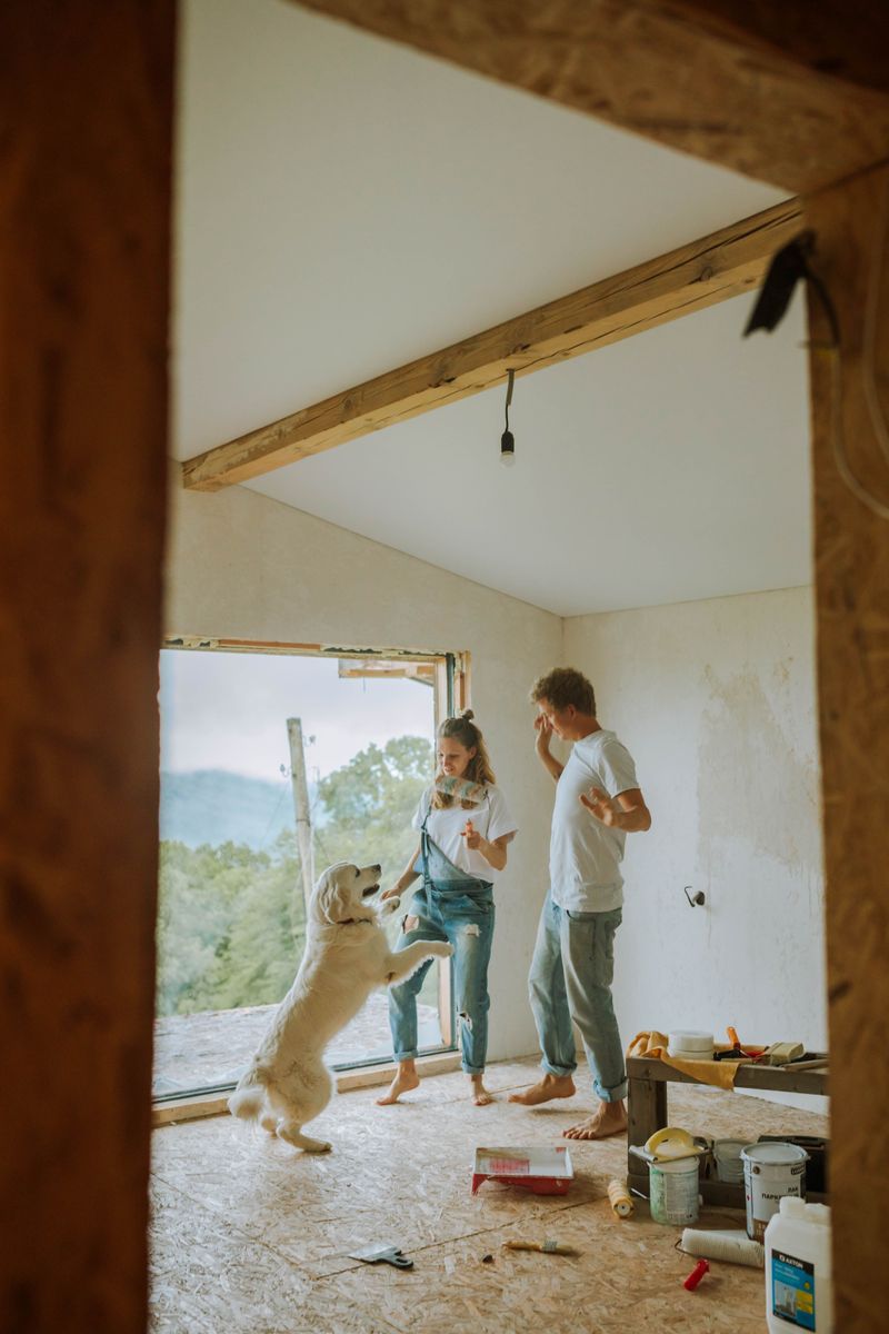 Dog Owners Are Legally Responsible for Damage Their Dogs Cause