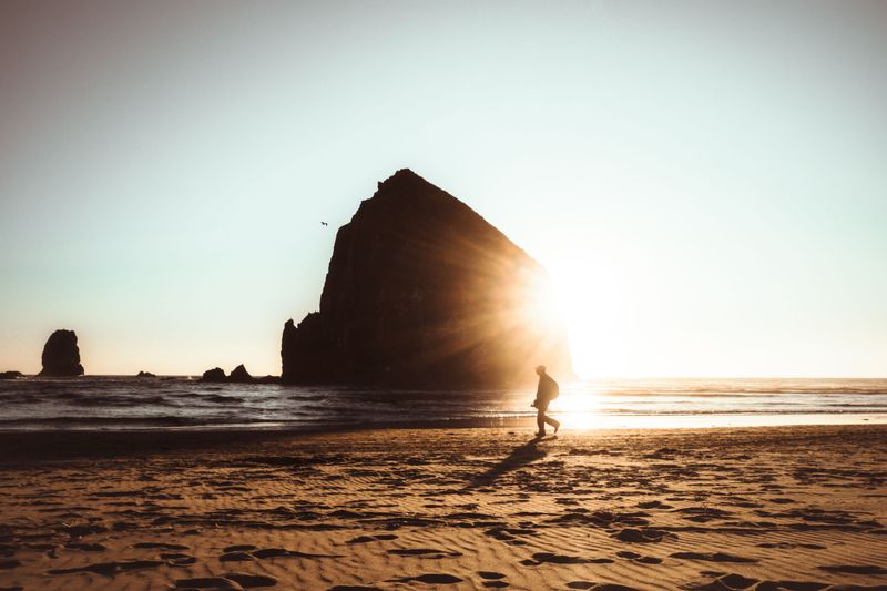 Never Turn Your Back On The Ocean