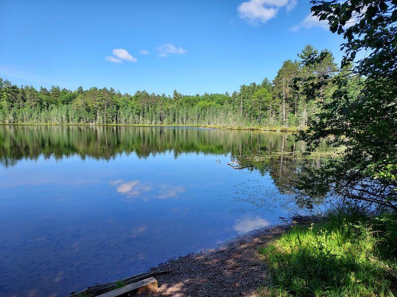 Northern Highland-American Legion State Forest, Vilas County