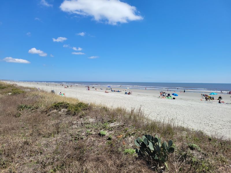 Isle of Palms County Park