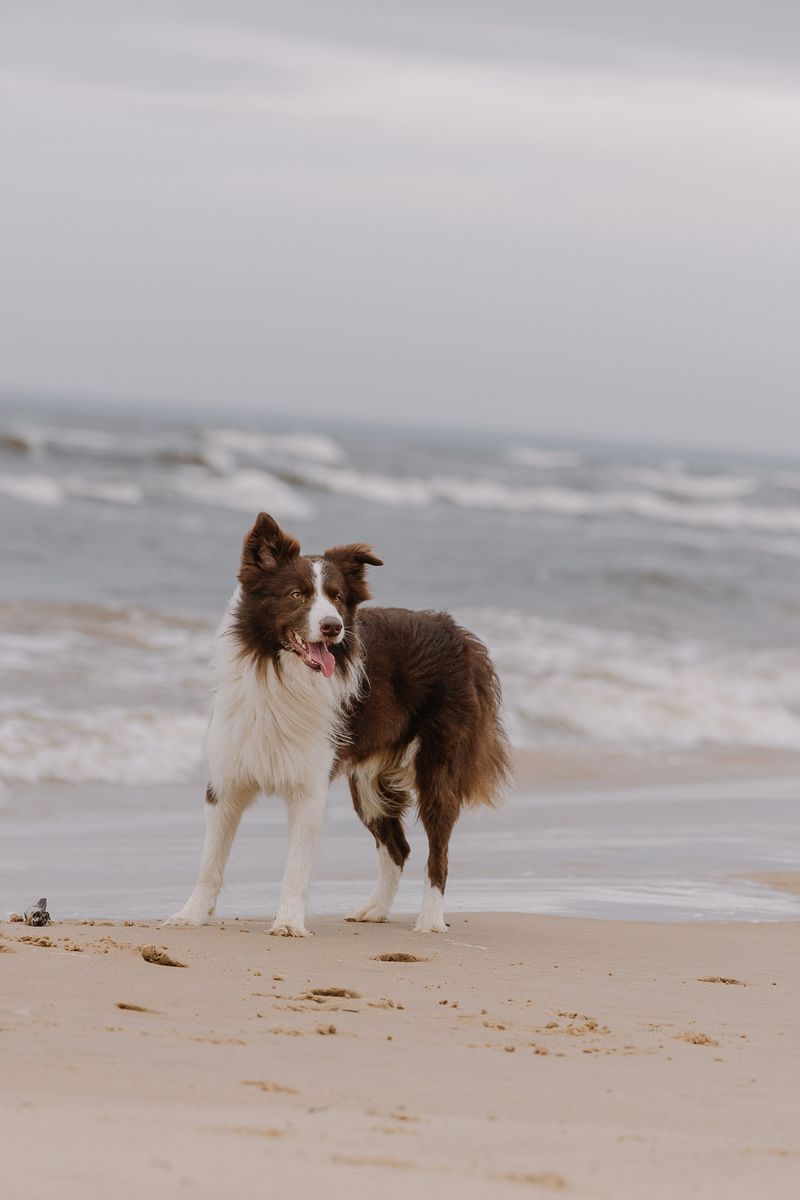 Seabrook Island Beach